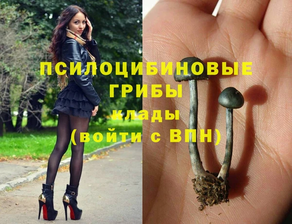 метадон Аркадак