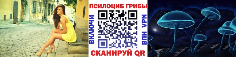 hydra ТОР  мориарти официальный сайт  Псилоцибиновые грибы ЛСД  наркошоп  Усть-Джегута 